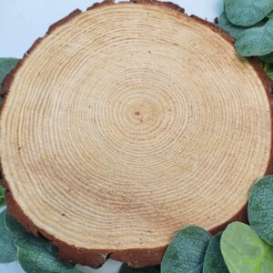 Wood Slices