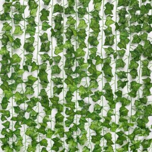 Ivy Vines