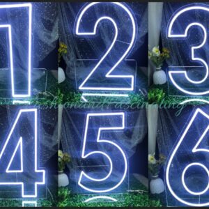 Neon Number
