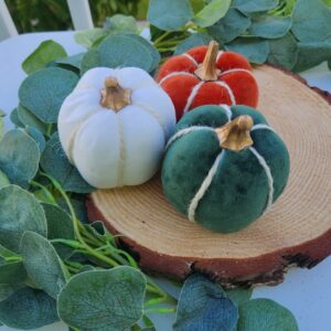 Velvet Pumpkins