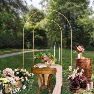 Round Top Double Arch Backdrop Stand