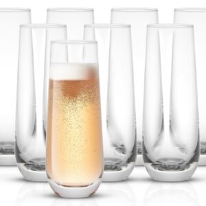 Stemless Champagne Glass