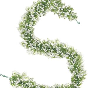 Baby's Breath Runner